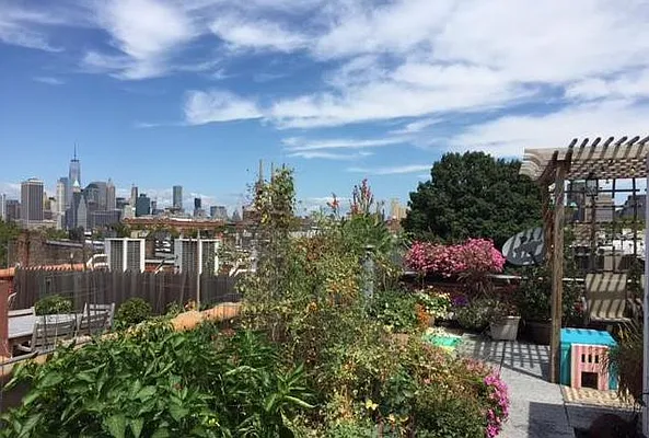 Rented by Corcoran | media 11