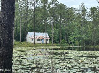 261 Tom Chance Rd, Poplarville, MS 39470