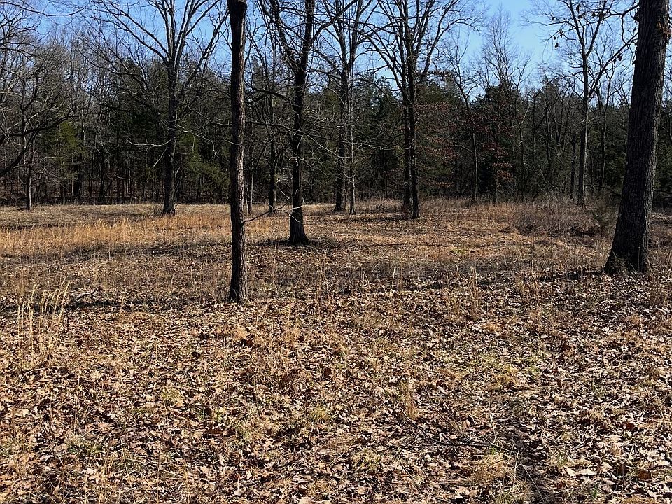 1st image of 0 E Pitts Ln