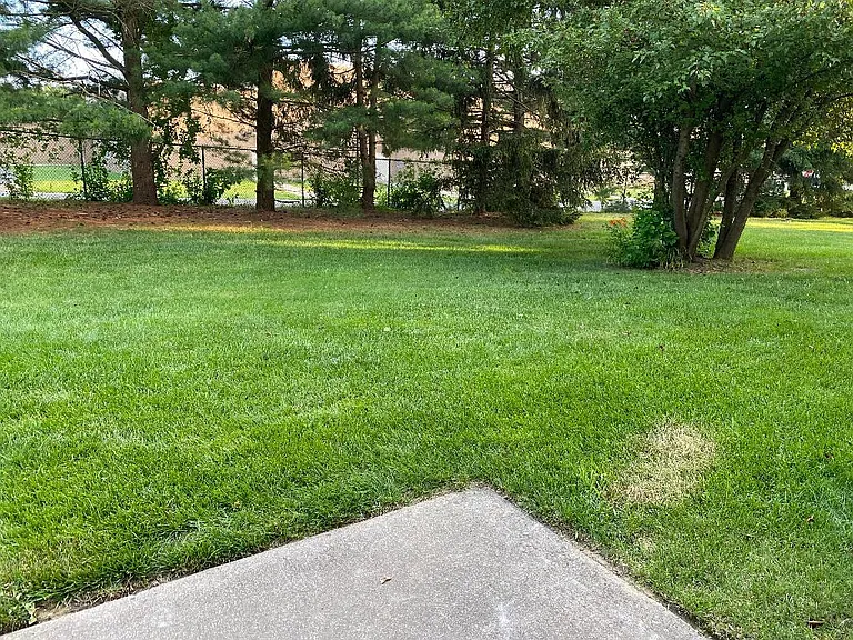 400A Willow Turn #400-A — Photo 12
