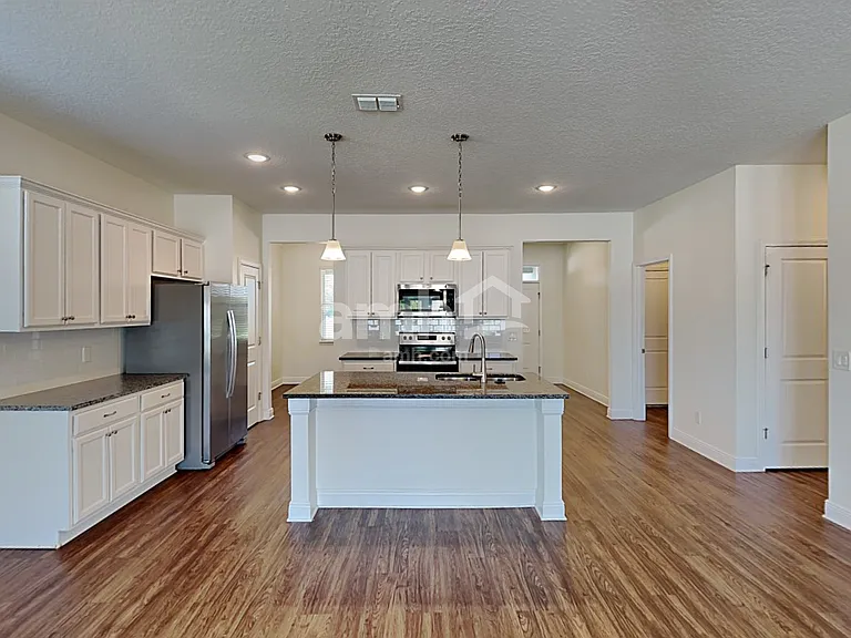 1306 Celery Palm Cv — Photo 4