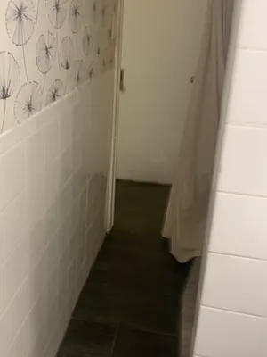 Rented by Space Link Realty | media 19