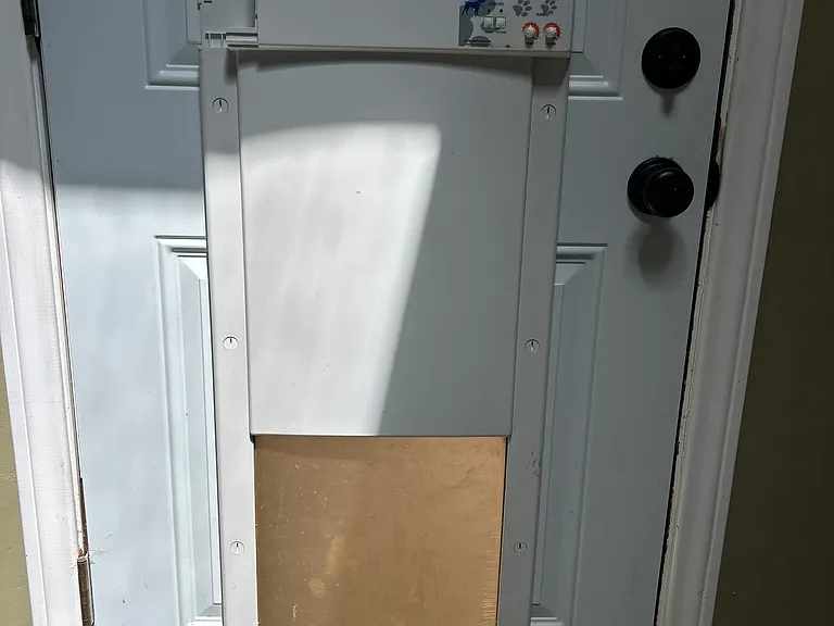 Dog door in laundry room, collar activated