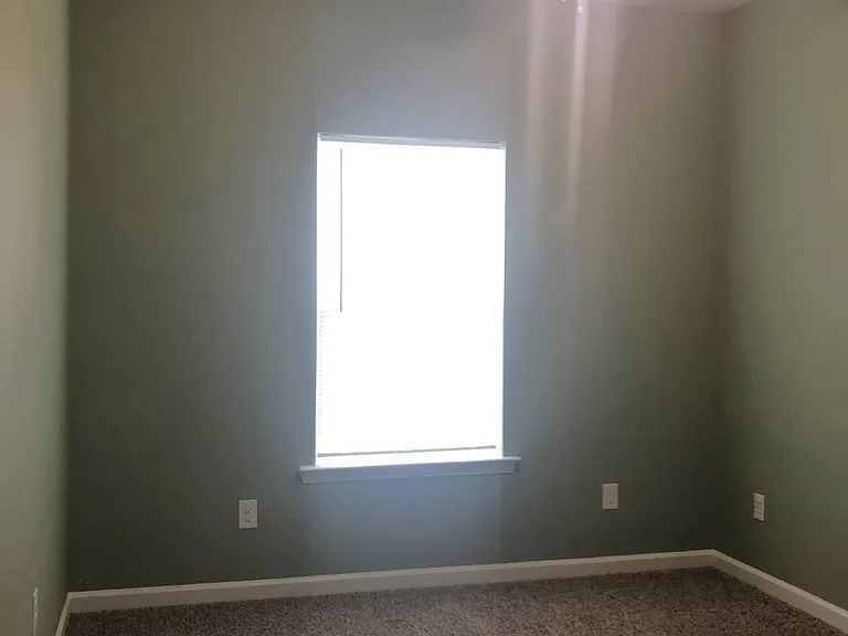 131 Cryptomeria Way — Photo 9
