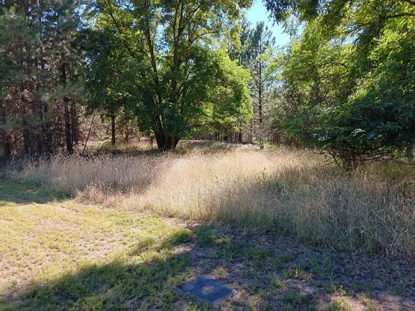 Ponderosa Way, Kettle Falls, WA 99141