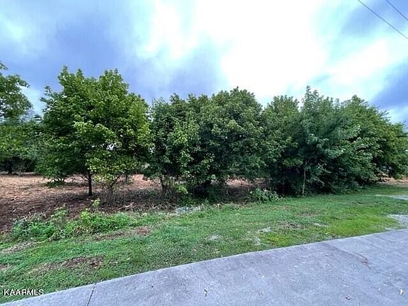 3rd image of 2 S Highway 92 Lot 2