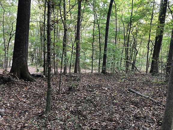 3rd image of 14 Beechtree Cir Lot 14/17