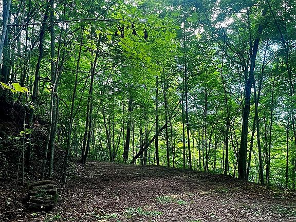 5th image of 27B Overlook Dr