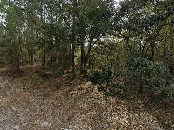 228 14th St Lot 15, Interlachen, FL 32148