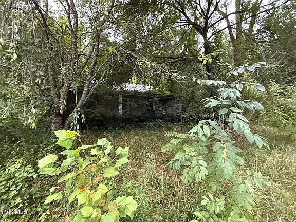 3rd image of 730 Taggart Ave