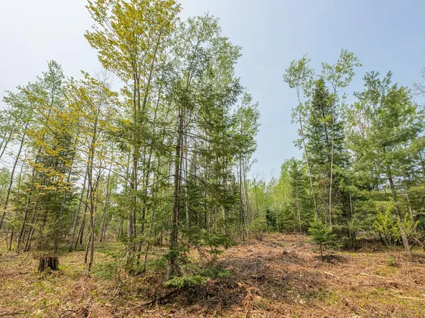 LOT 2 Cth S, Land O Lakes, WI 54540