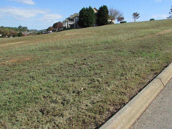 4th image of 395 Pineberry Dr