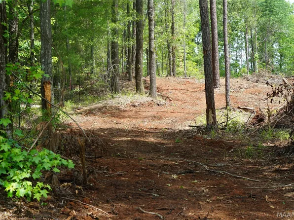 1300 Jackson Griswold Rd, Fitzpatrick, AL 36029