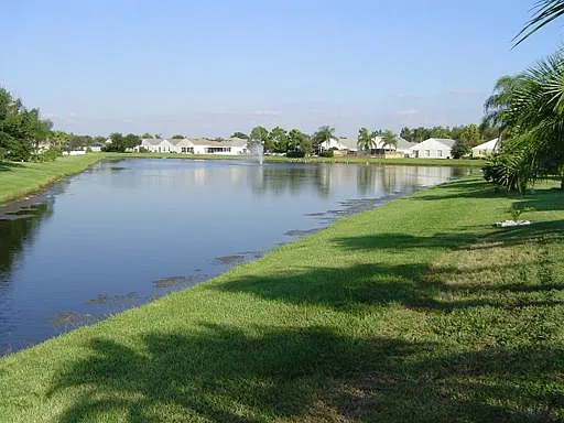 Backyard pond