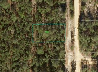 153 Romanshorn St #135, Interlachen, FL 32148