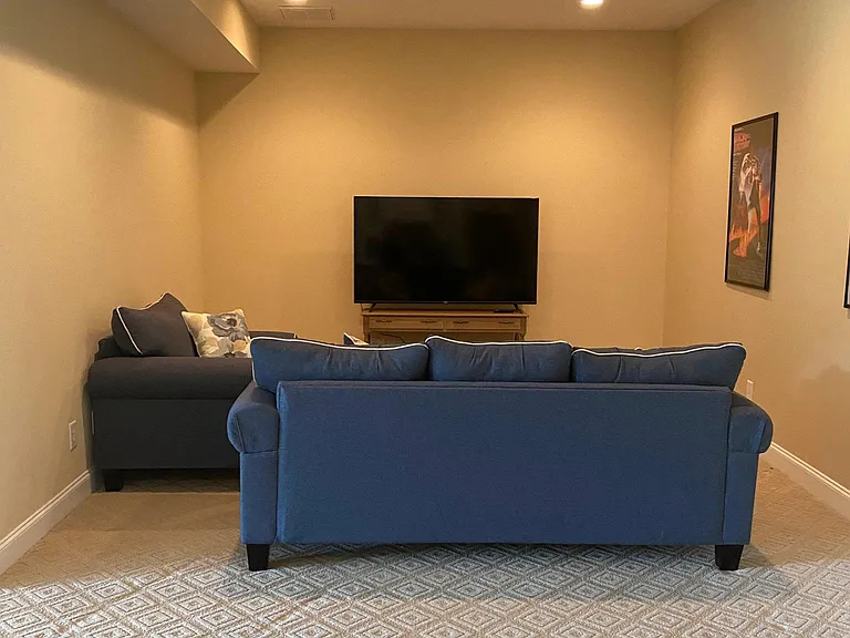 TV area in basement