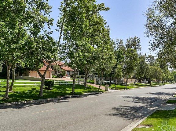 Beautiful Tree Lined Street of the Deer Creek Community