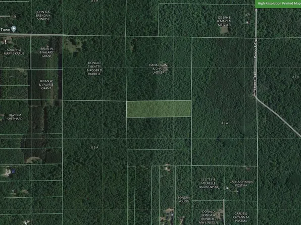 Vl 0 N Irons Rd, Irons, MI 49644
