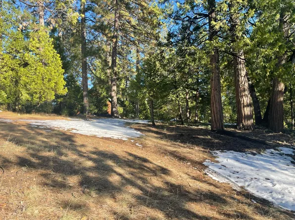 2798 Fairway Dr, Arnold, CA 95223