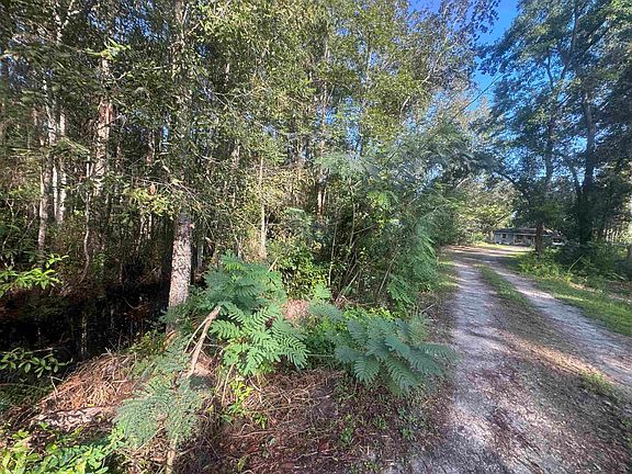5th image of 124 P A Sanders Rd