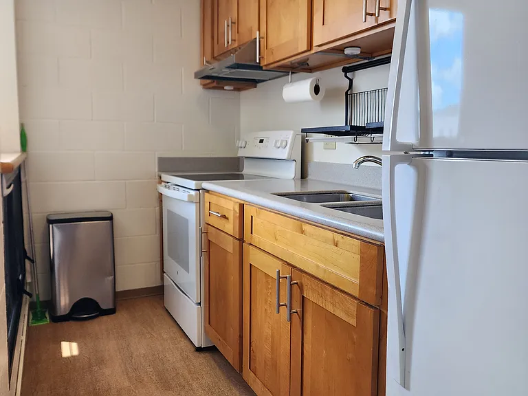 1541 Dominis St #1503 — Photo 9