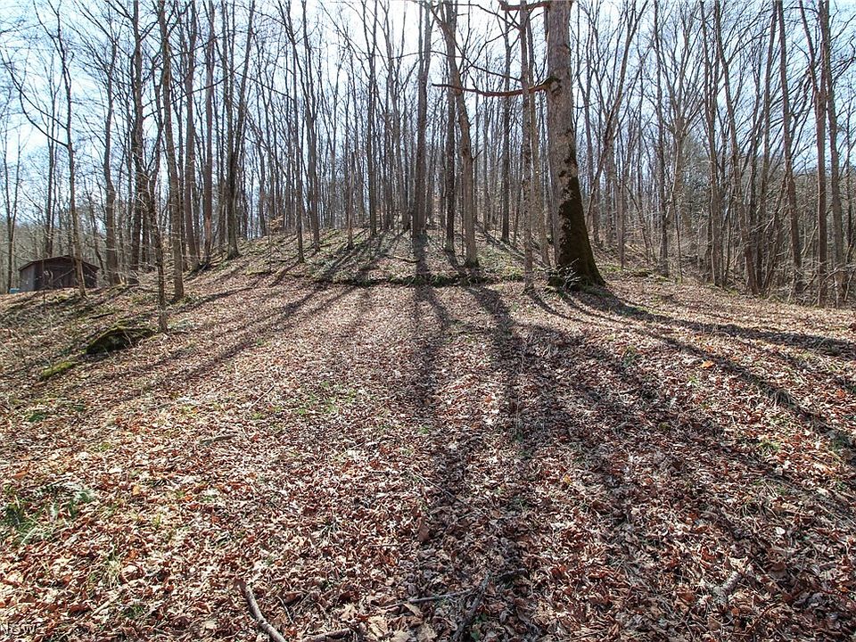 Township Road 502, Sardis, OH 43946 Zillow