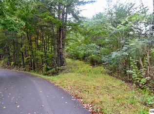 816 Winding Smoky Way #3514, Gatlinburg, TN 37738