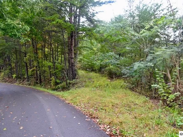 816 Winding Smoky Way #3514, Gatlinburg, TN 37738