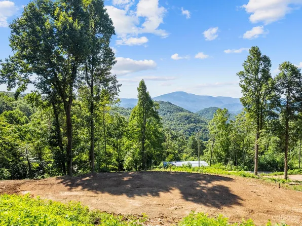 673 Mountain Cove Rd, Hendersonville, NC 28792