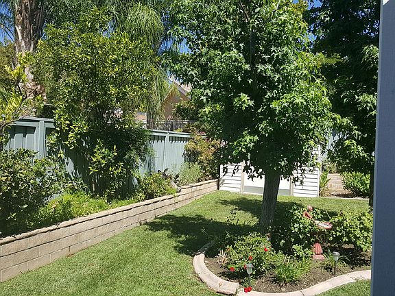 Spacious mature rear yard