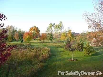 View from porch of backyard