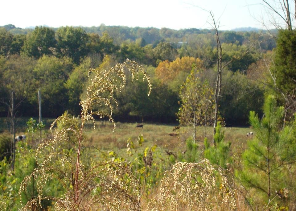 1st image of 542 County Road 783