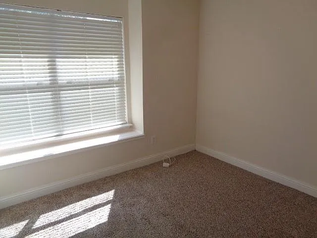11310 Seven Sisters Dr — Photo 10