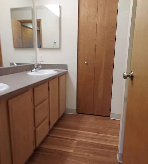 Master bath double sinks
