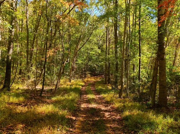 0A Wright School Rd, Anderson, SC 29621