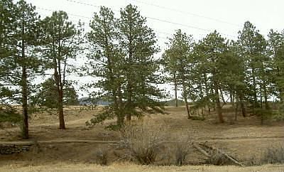 Ride your cart to the Golf Course