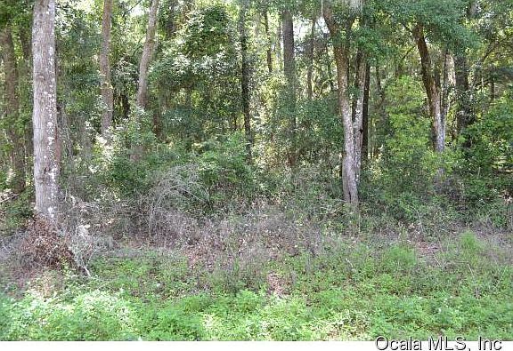 4th image of 49 Lake Wood Cir