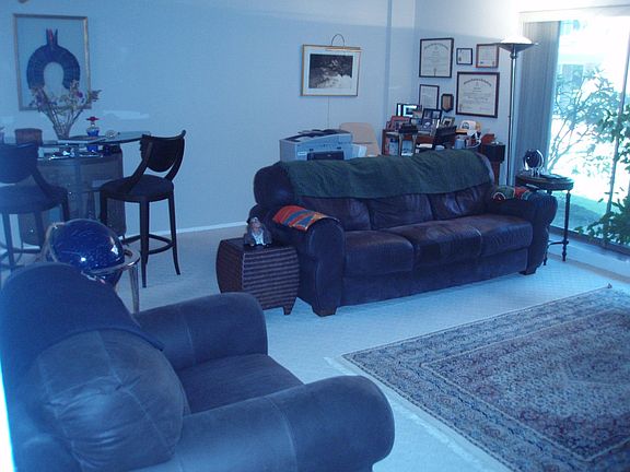 Living Room, Bar Area