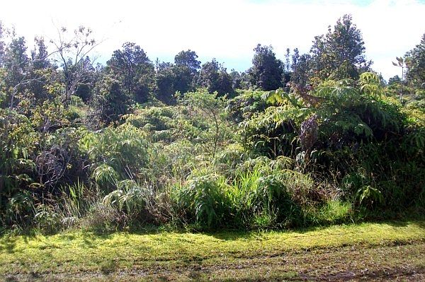 2nd image of Volcano Rd Lot 1468