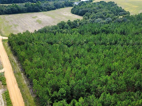 2nd image of TRACT 4 A L Reeves Rd