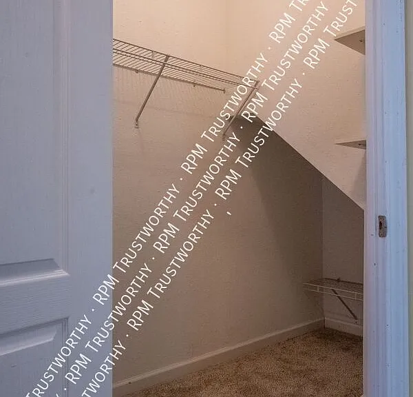 3601 Borland Rd — Photo 36
