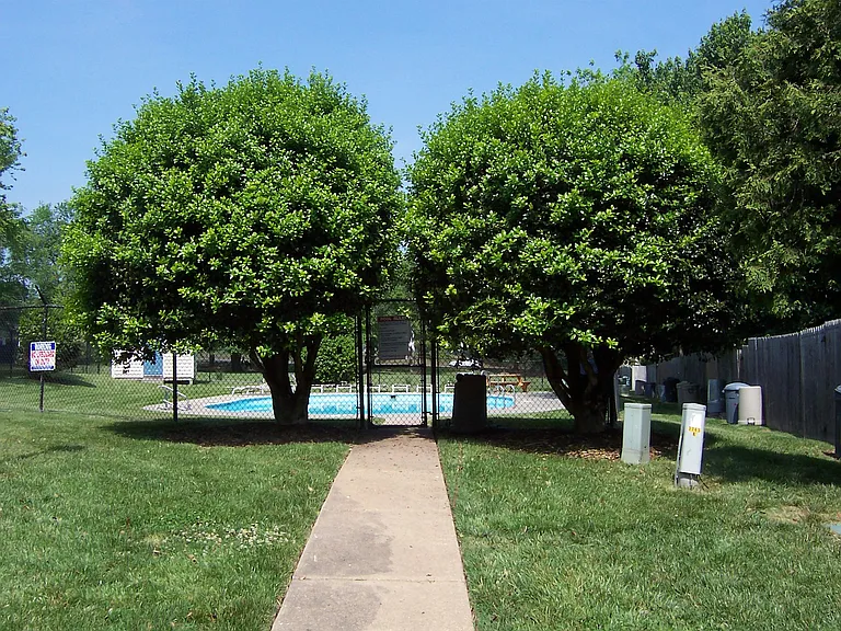 58 Dehaven Dr — Photo 3