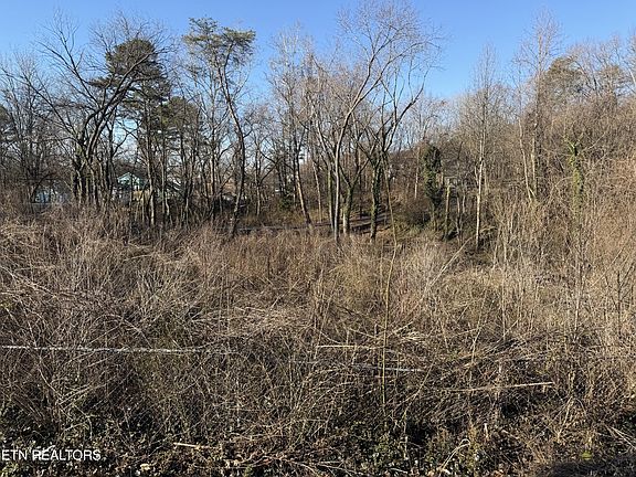 3rd image of 3335 Divide St Lot 76