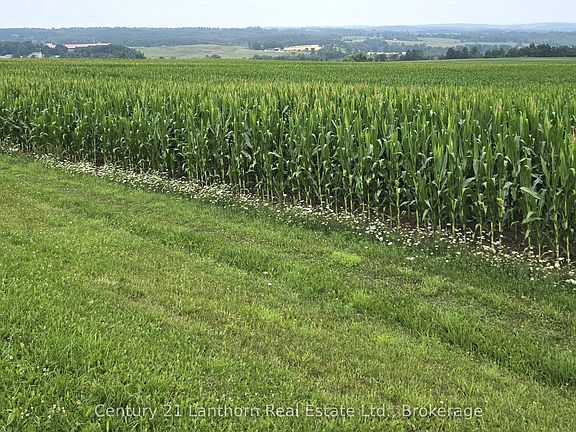 2nd image of 488297 30th Side Rd