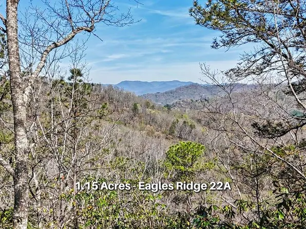 247 Red Hawk Blf, Sylva, NC 28779