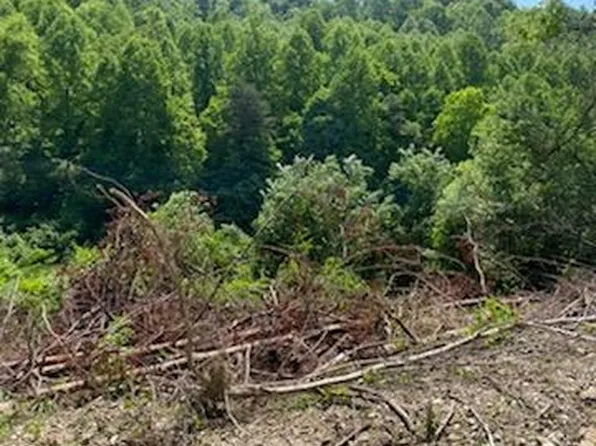 0 Rye Branch Rd, Gunlock, KY 41632