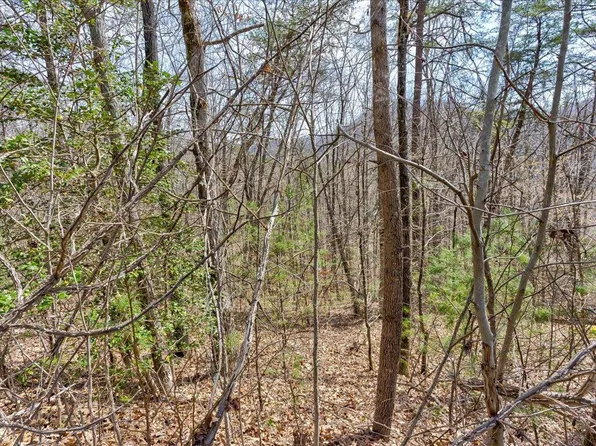 Lots 78 79 Bear Track Way, Del Rio, TN 37727