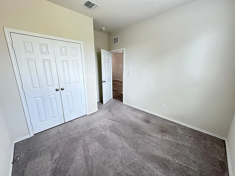 508 Black Alder St — Photo 21