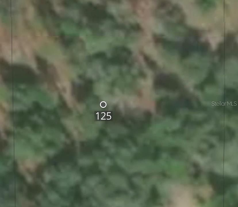 2nd image of 125 SUSAN ROAD
