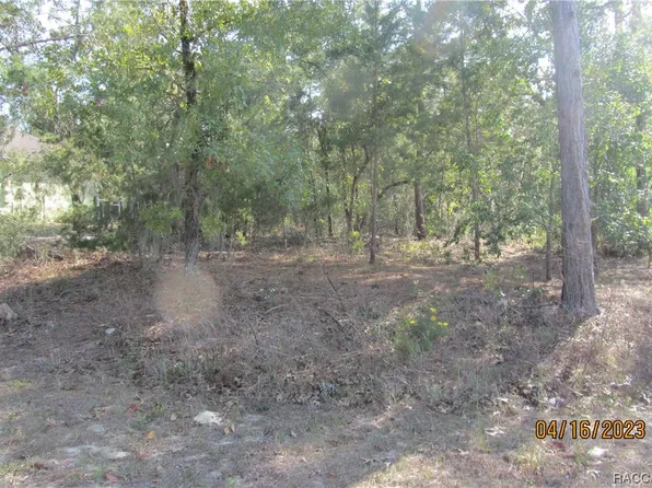9212 N Akola Way, Citrus Springs, FL 34434